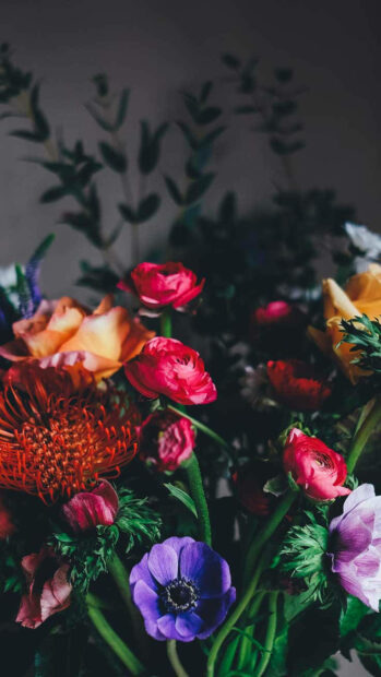 Colorful ranunculus flowers bloom in the spring season