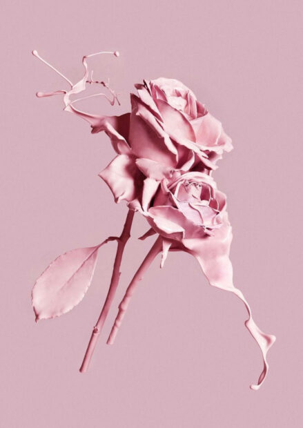 Pink roses with liquid splash art capturing the essence of spring