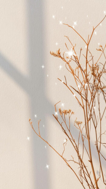 Dry flower branches illuminated by soft spring light with sparkles