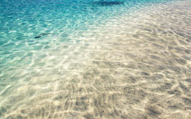 Clear water revealing sandy bottom in a summer aesthetic scene