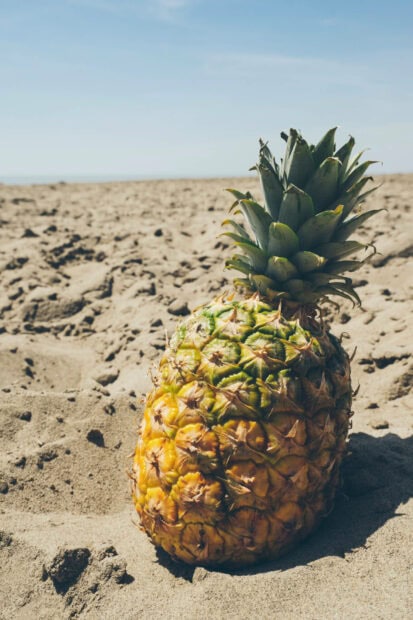 A ripe pineapple resting on sandy beach under clear summer sky