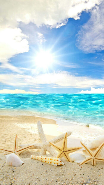 Bright ocean with starfish and seashells on sunny summer beach