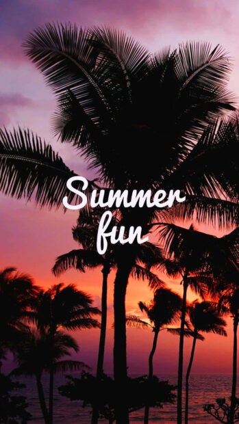 Silhouettes of palm trees with summer fun text during sunset sky