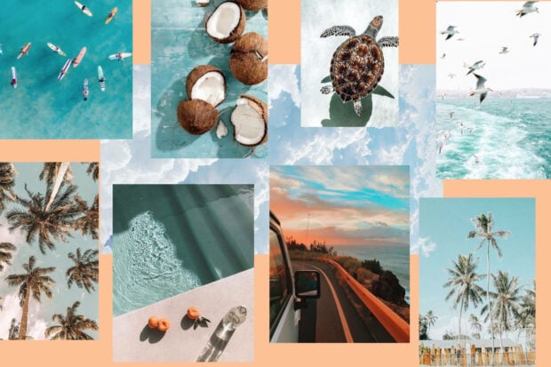 Tropical palm trees and a sea turtle with coconuts create a summer collage