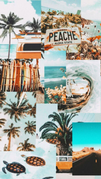 Summer collage with palm trees turtles and surfboards on a sunny beach