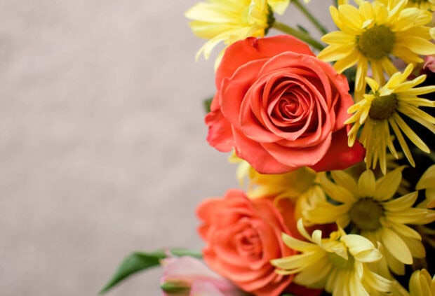 A close up of summer flowers including orange roses and yellow daisies in bloom