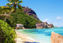 Tropical summer vibes with crystal clear ocean and sandy beach surrounded by lush greenery