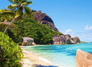 Tropical summer vibes with crystal clear ocean and sandy beach surrounded by lush greenery