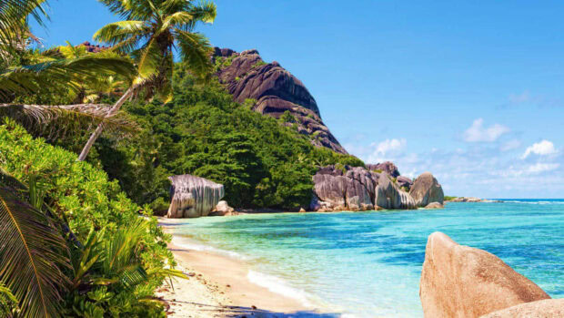 Tropical summer vibes with crystal clear ocean and sandy beach surrounded by lush greenery