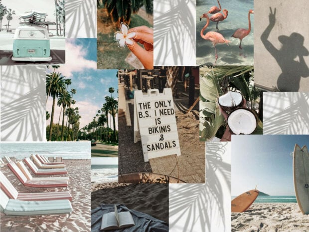 A collection of summer vibes with palm trees and beach scenes featuring coconuts and flamingos