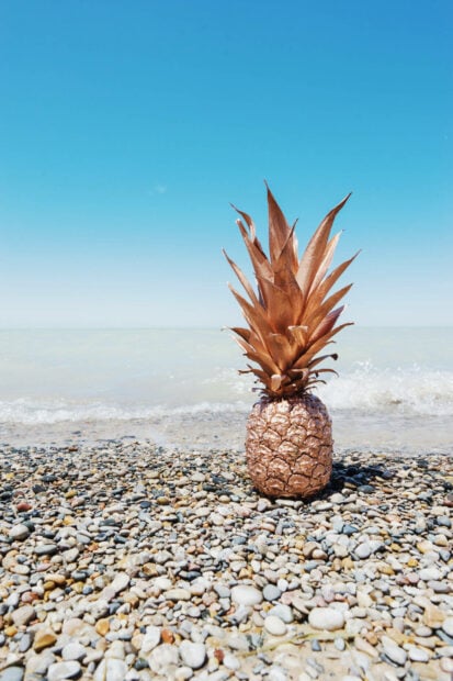 A golden pineapple on a pebble beach with the ocean and clear sky in summer vibes