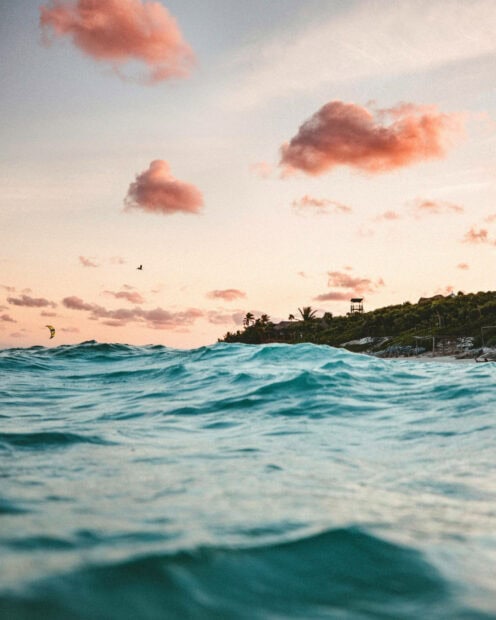 Calm ocean waves with summer vibes and coastal greenery under a pastel sky