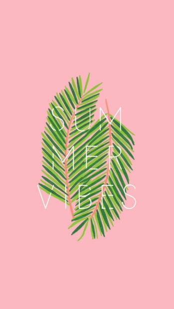 Green palm leaves with summer vibes text on pink background
