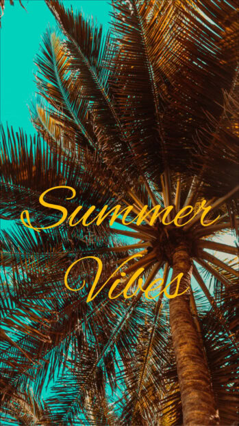 Tall palm trees creating summer vibes against a bright blue sky