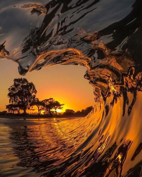 golden sunset over ocean waves with trees on the shore reflecting summer vibes