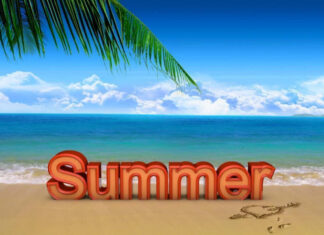 A summer scene with a sandy beach ocean waves and palm leaves under a clear blue sky