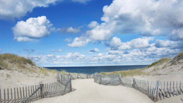 Sandy beach path with grass and clouds on a summer day