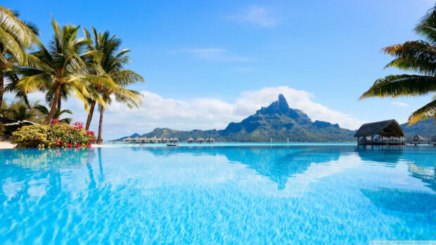 A tropical summer scene with palm trees and clear blue water at a beach resort
