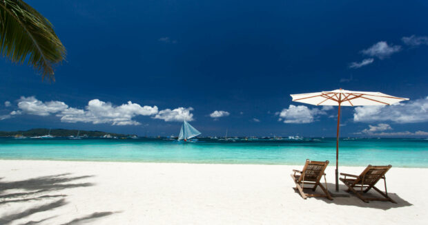 Tropical beach with beach chairs and palm tree summer scene