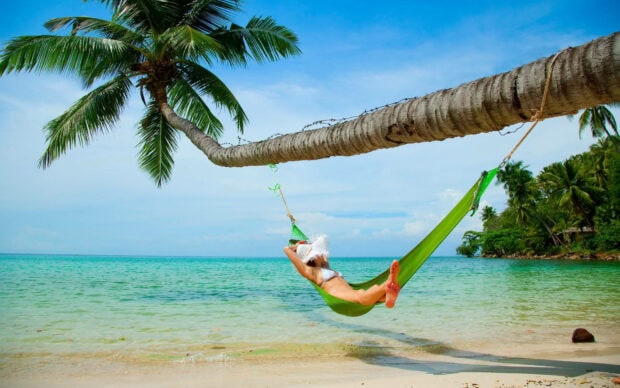 A woman relaxing in a hammock tied to a palm tree by the tropical sea during summer