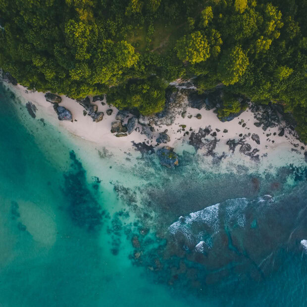 Aerial view of summer coastline with lush greenery and clear turquoise water