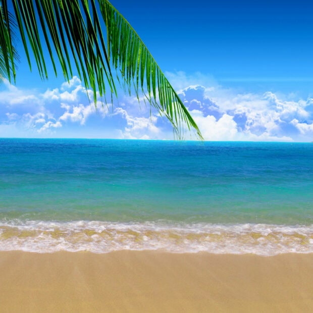Beautiful summer beach with ocean waves and palm leaves under clear sky