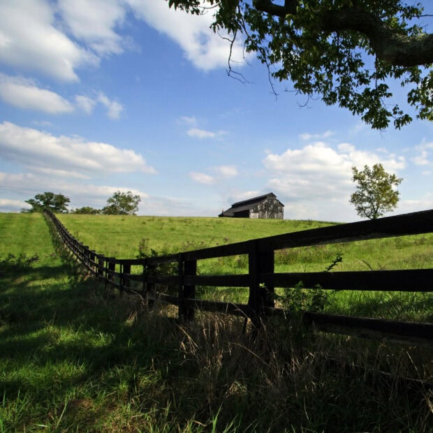 Summer farm landscape with green fields and a wooden fence under a blue sky