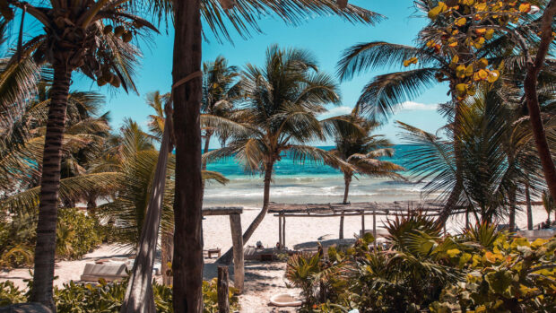 Tropical summer scenery with palm trees and beach under clear blue sky