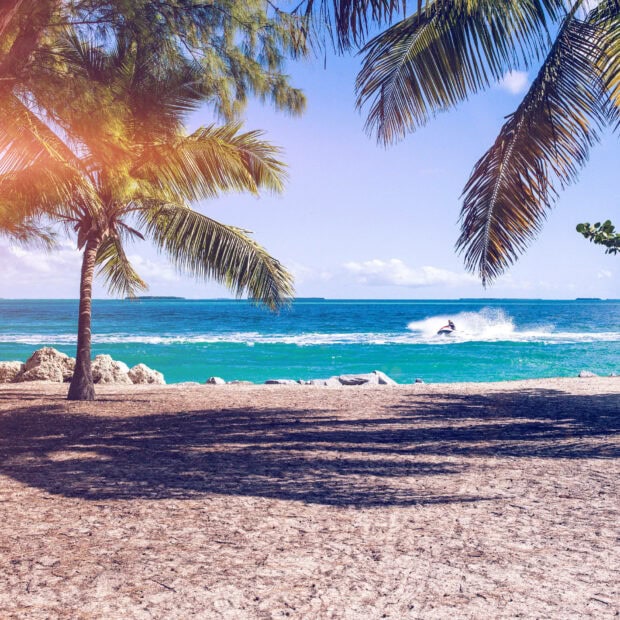 Palm trees and ocean view with jetski on a summer day