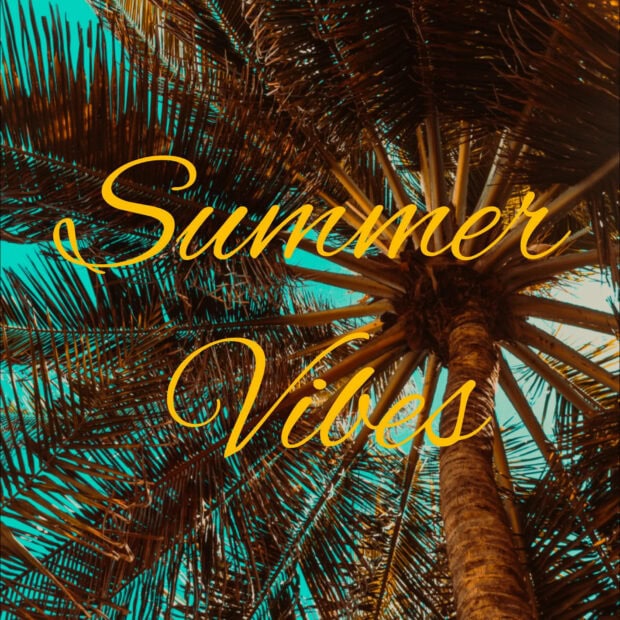 Tall palm trees create summer vibes under a bright blue sky with tropical summer vibes