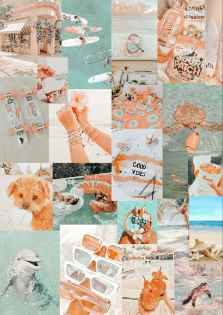 A summer collection featuring skateboards dolphins and tropical beach scenes
