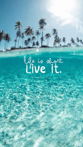 Clear ocean water with palm trees and a summer life is short quote
