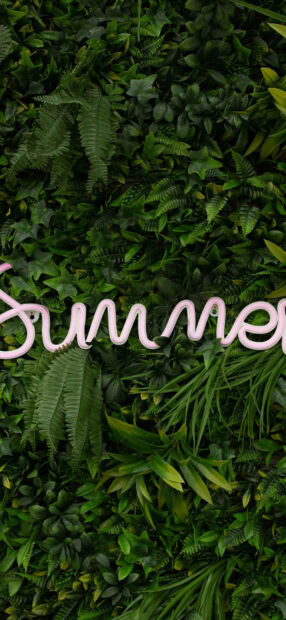 Neon summer sign surrounded by green leaves and plants on a wall