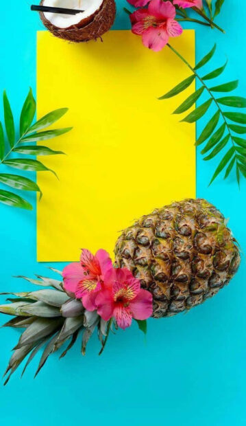 Tropical summer with pineapple and coconut on blue background