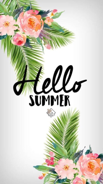 Hello summer text with floral and tropical leaf design for summer