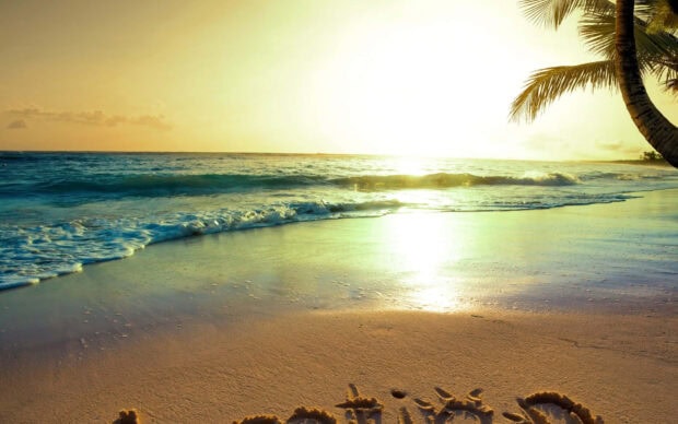 A beautiful summertime beach with palm trees and golden sand at sunset