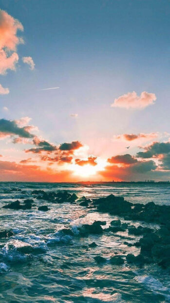 Rocky shore under the clear sky during summertime
