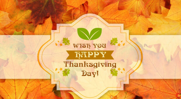 Decorative greeting card displays text 