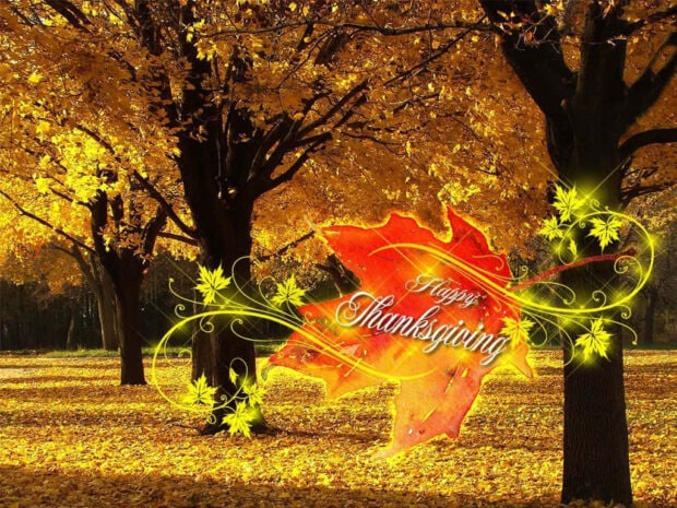 Golden autumn leaves adorn trees and carpet the ground, framing a luminous red maple leaf with festive text