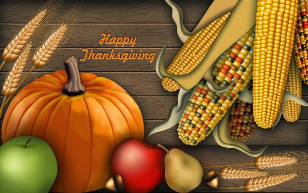 happy thanksgiving