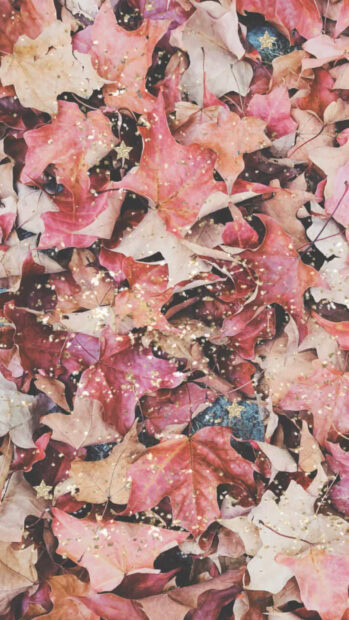 Maple leaves display rich hues, adorned with shimmering gold glitter and small star accents, creating a vibrant ground cover
