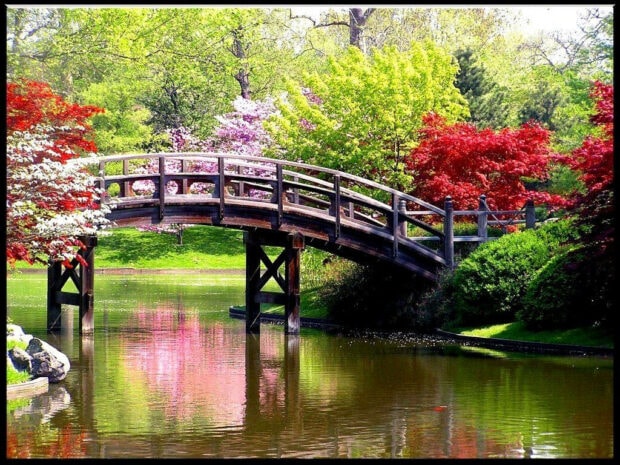 spring desktop wallpaper