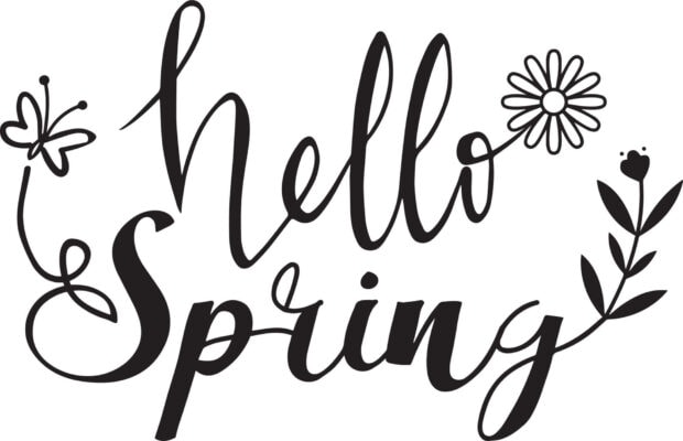 Stylized black script text reads 'hello Spring' adorned with a butterfly and floral motifs
