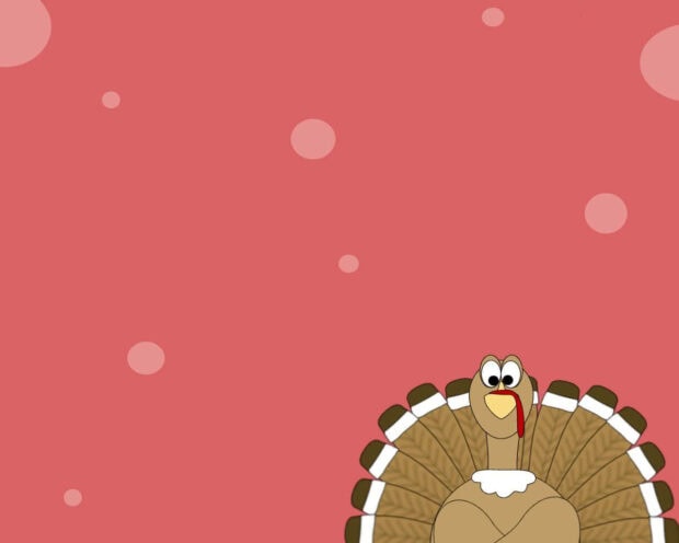 Cartoon turkey stands at the bottom right, looking ahead on a pink background with floating dots
