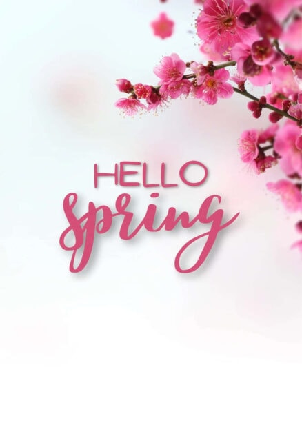 Vibrant pink cherry blossoms bloom on a branch, framing text 