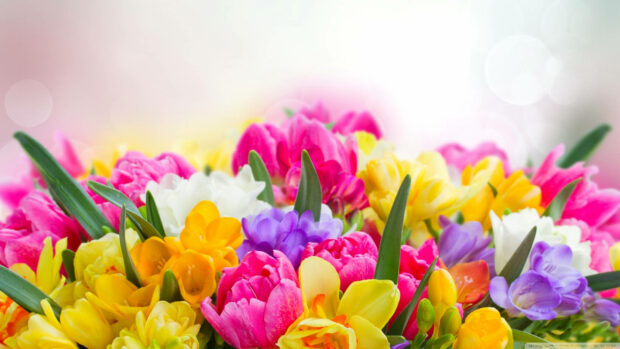A vibrant bouquet of mixed blossoms displays a rich spectrum of colors