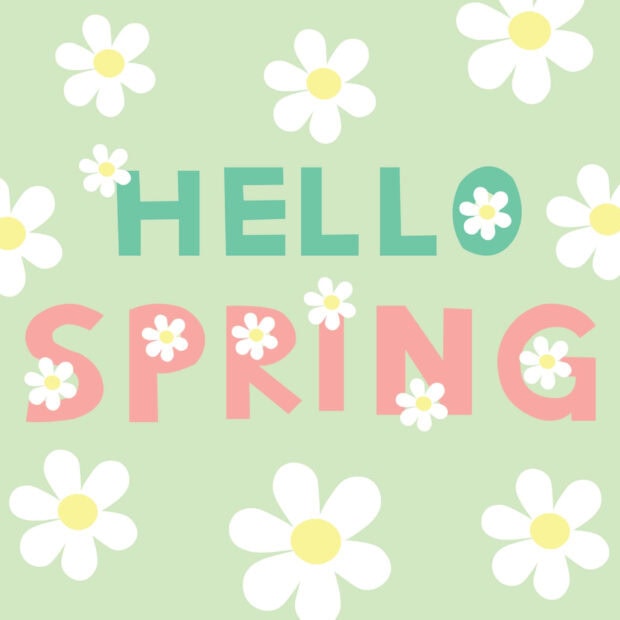 White daisy blooms scatter across a light green background with 