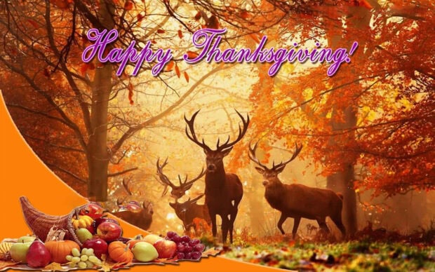 Several majestic deer stand among glowing orange trees in an autumn forest, while a cornucopia bursts with harvest fruits and vegetables in the foreground