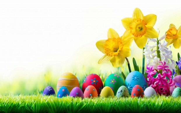 Vibrant Easter eggs nestle in lush green grass, surrounded by cheerful yellow daffodils and bright hyacinths