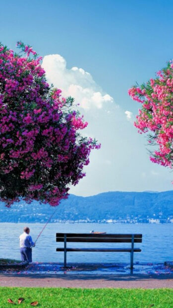A person fishes calmly beside a blue lake, framed by vibrant flowering trees, with a lone bench awaiting a viewer